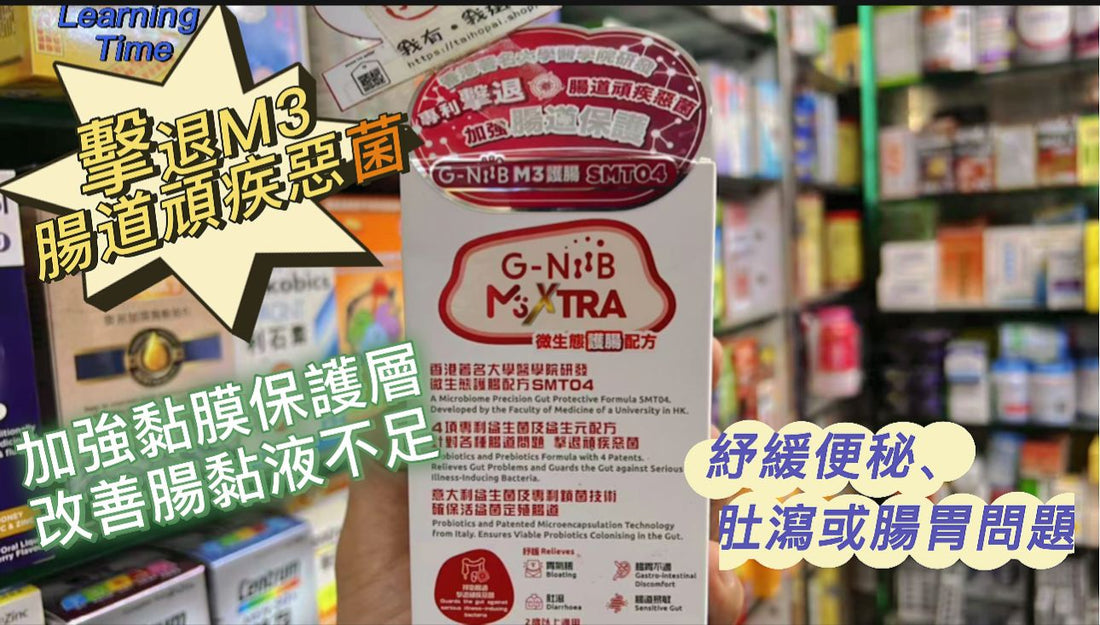 「益生菌助腸道健康,提升免疫力與消化功能全攻略」