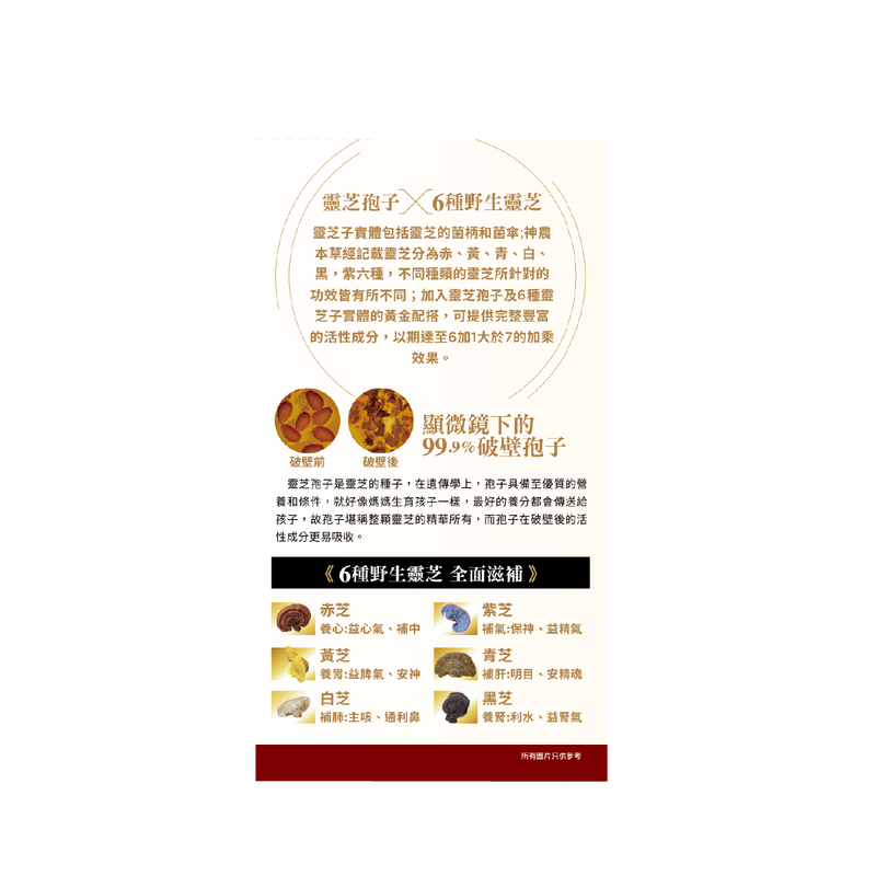 NOTO 樂道 大學靈芝 60粒.