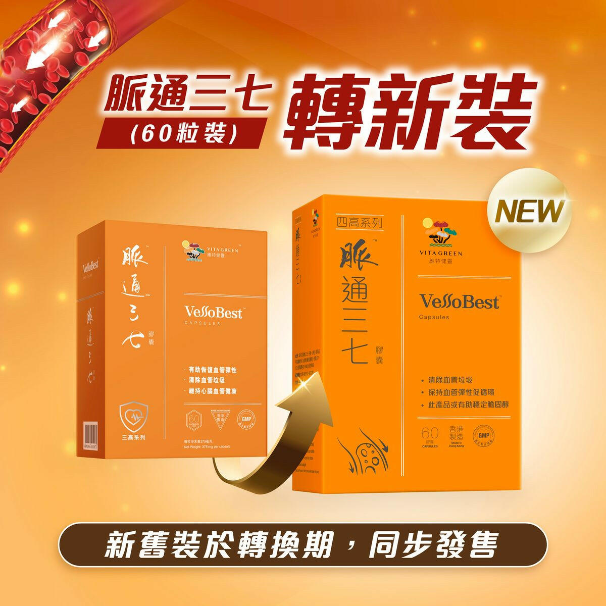 【萬寧獨家】Vita Green維特健靈脈通三七  40粒|98%高純度・心血管保養・長輩三高首選|港台星馬直送.