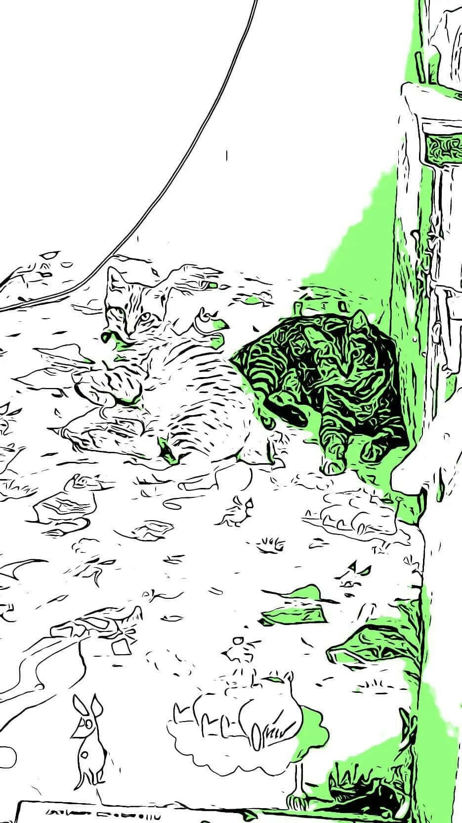 Taihopai bonus-百家飯.