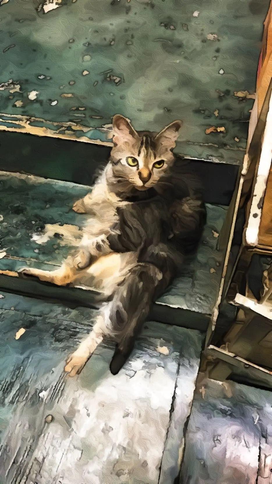 Taihopai bonus-東東店長.