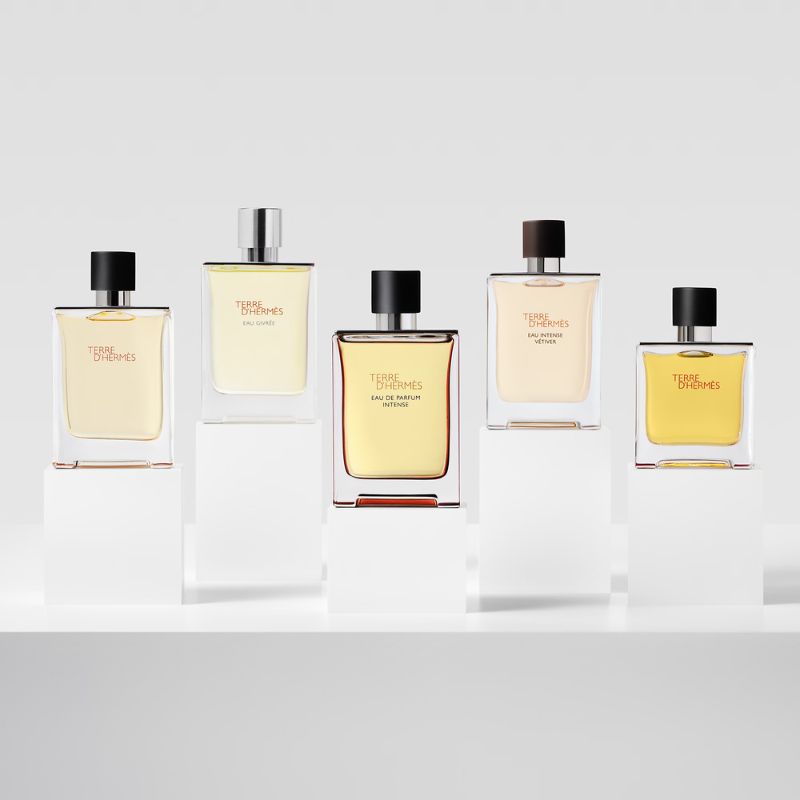 HERMÈS Terre D’Hermès Eau De Toilette 愛馬仕大地淡香水 100ml