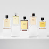 HERMÈS Terre D’Hermès Eau De Toilette 愛馬仕大地淡香水 100ml
