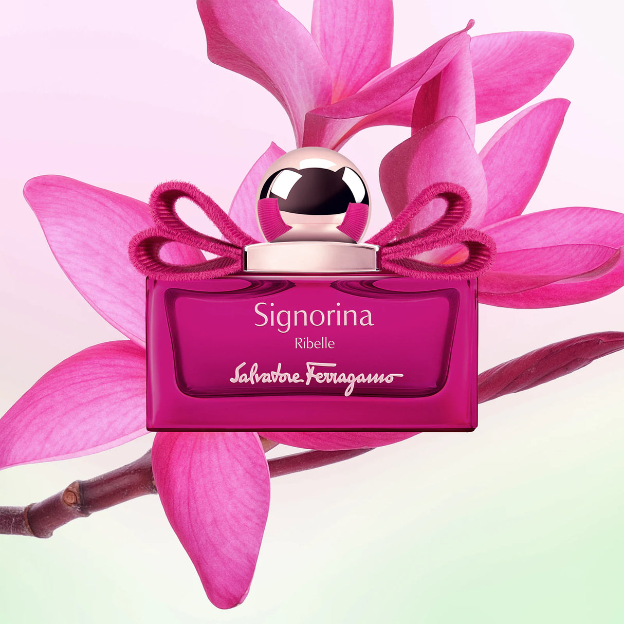 Salvatore Ferragamo Signorina Ribelle Eau De Parfum 菲拉格慕反叛芭蕾女士淡香精 50ml