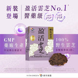 雲芝提取物助強化免疫系統，紓緩化電療相關不適症狀，提高患者生活品質