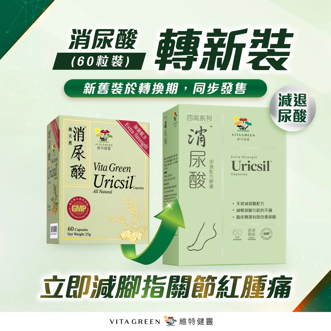 VITAGREEN 維特健靈 消尿酸60粒 – 保腎芹菜素減退尿酸（新舊裝隨機發）