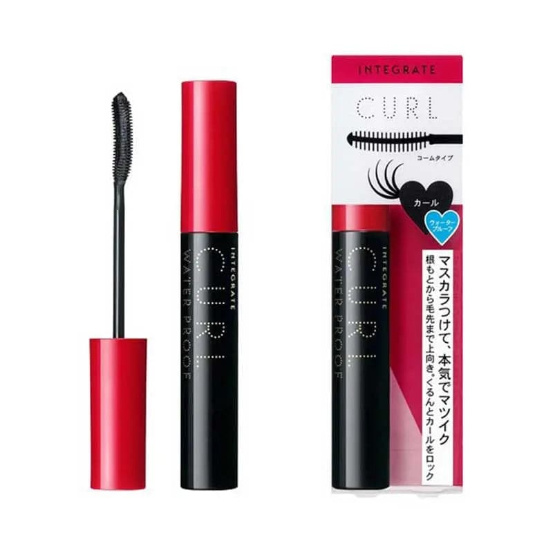 【日本寄-原箱出】SHISEIDO/資生堂 完美意境睫毛膏<黑色調皮卷翹> 7g SHISEIDO